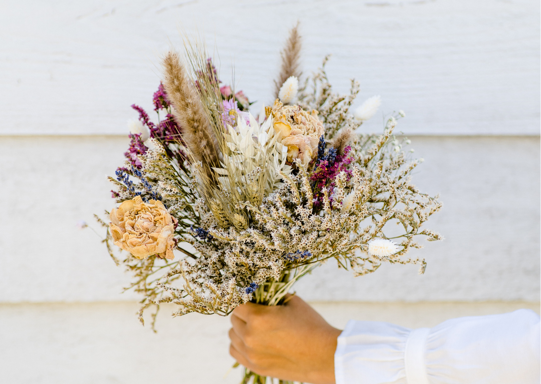 Dried flowers wholesale
