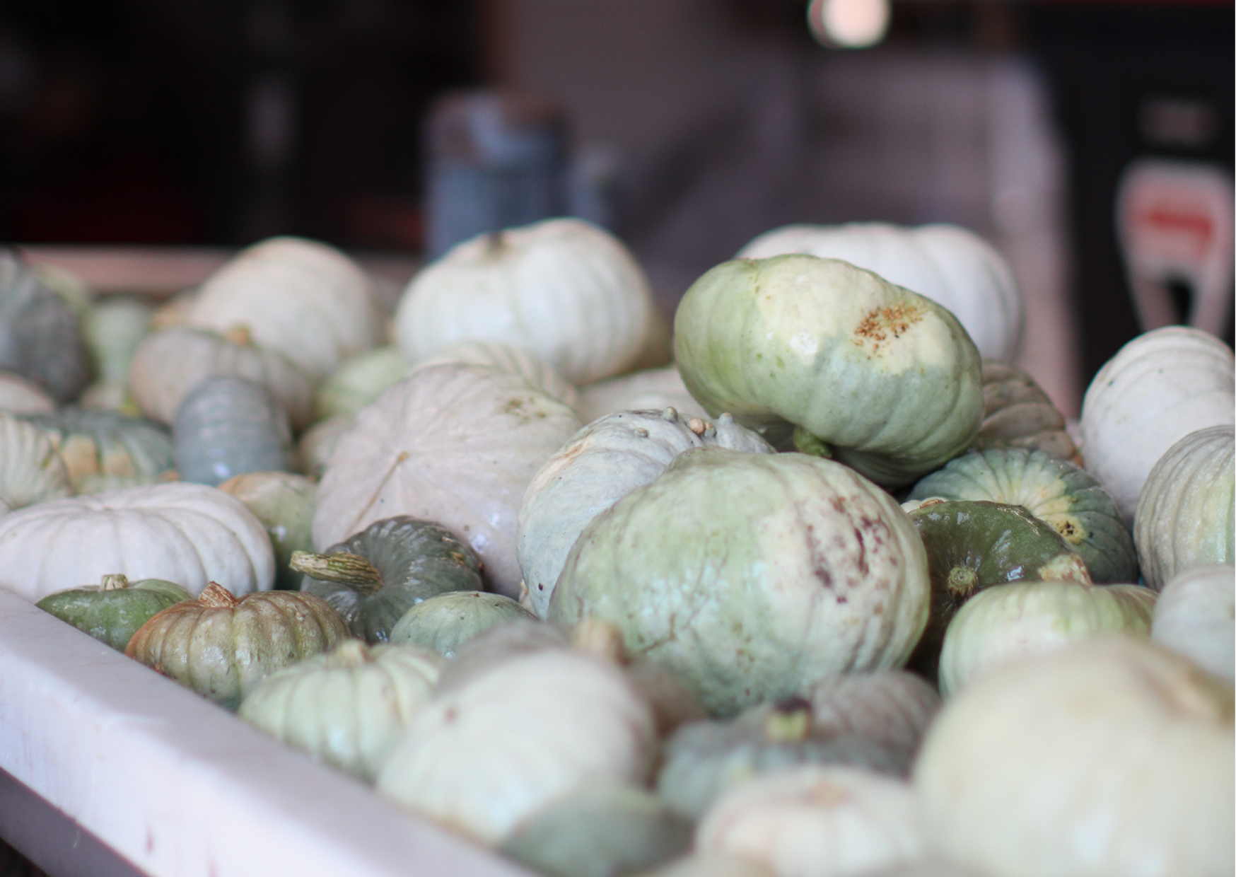 pomoenen