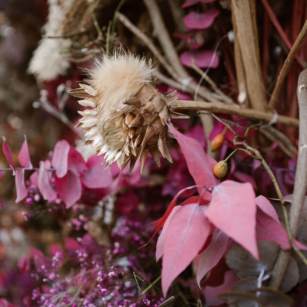 Droogbloemen