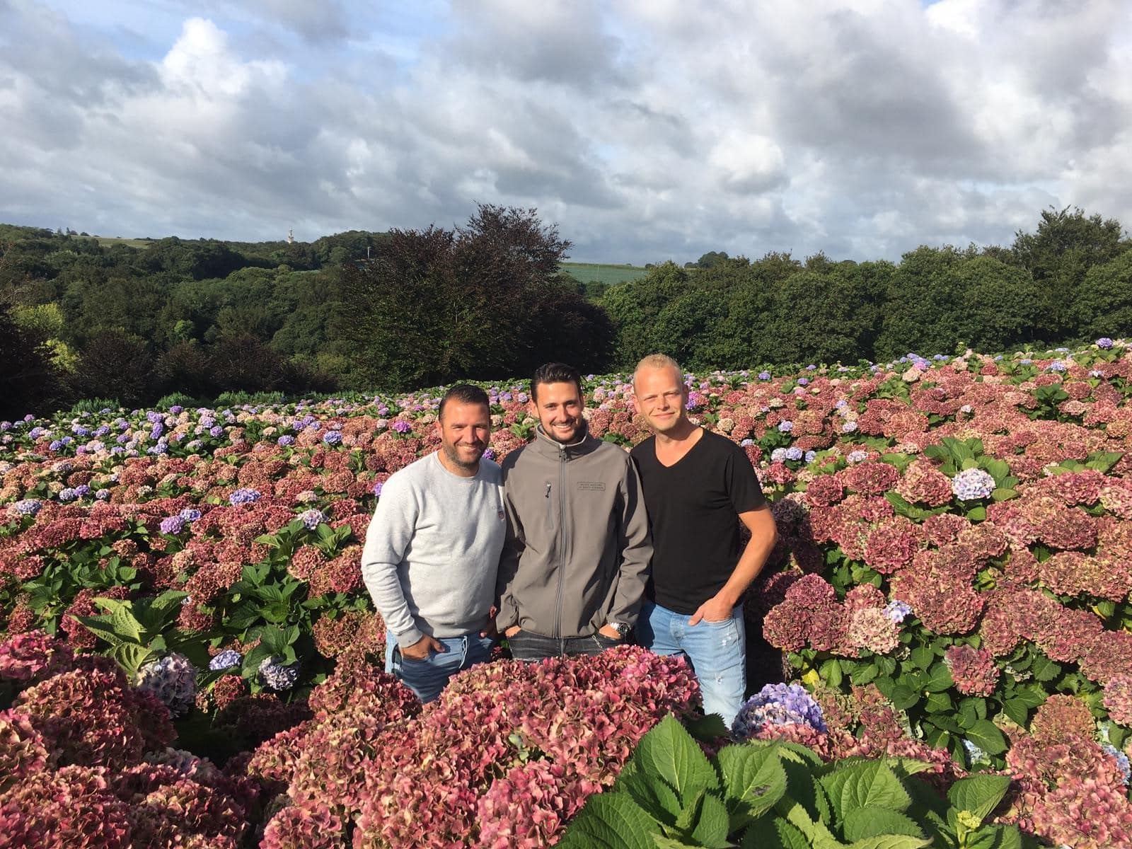 Hortensia's Frankrijk