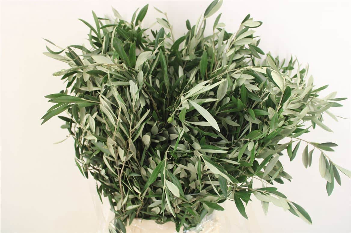 Olijf-400gr-P-Bunch