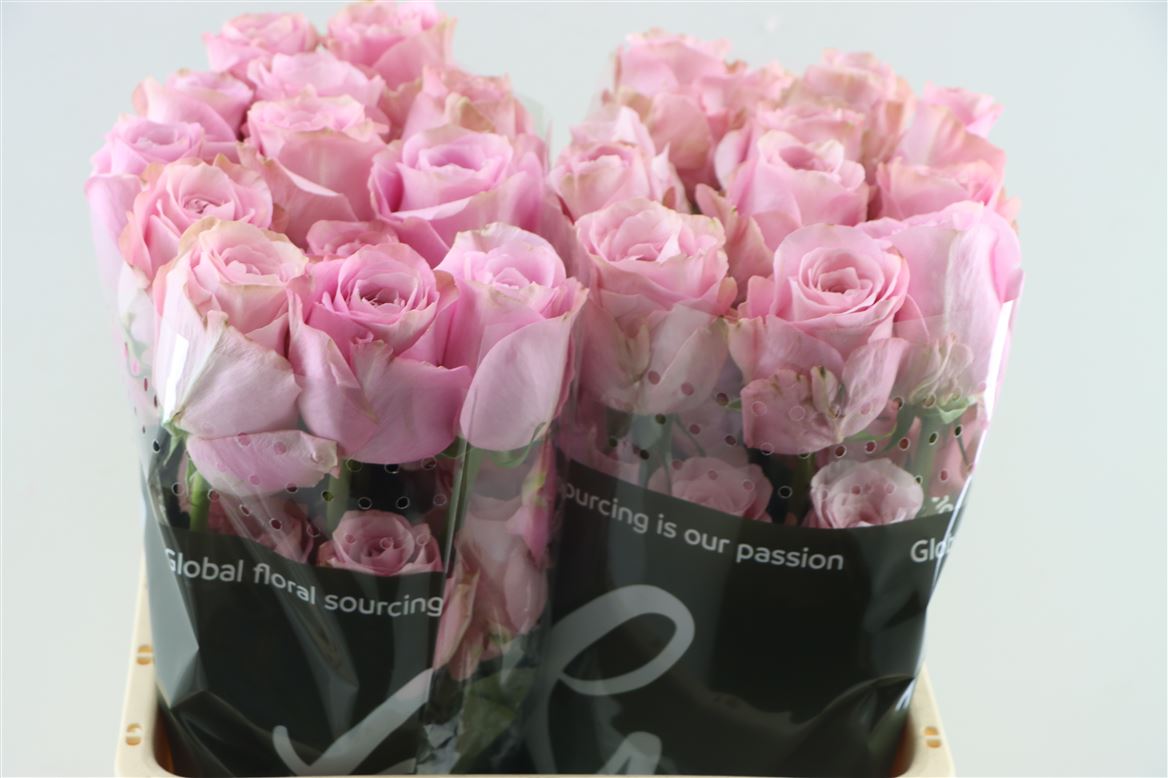 R-Gr-Sweet-4-love