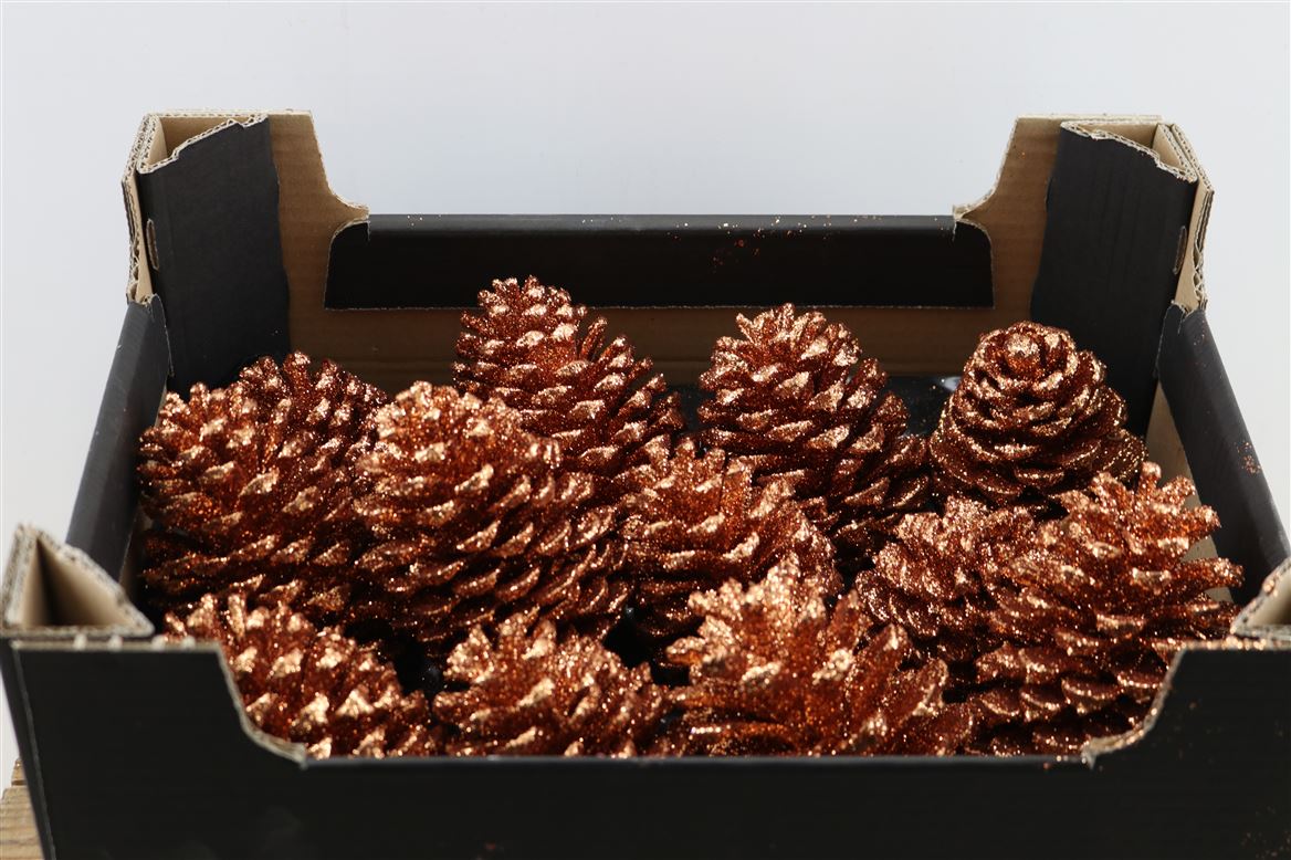 Wax-Maritima-Topline-Koper