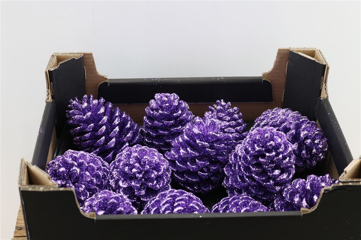 Wax-Maritima-Topline-Lavendel