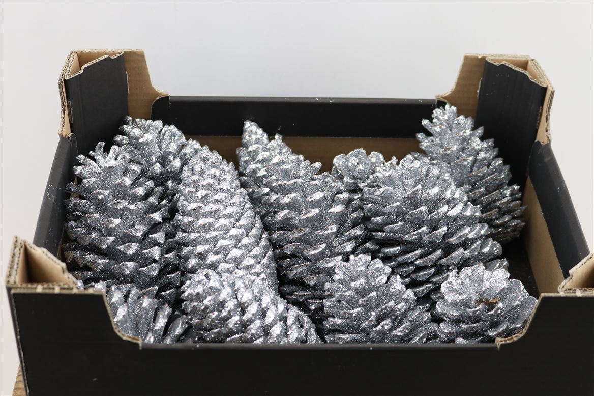 Wax-Maritima-Topline-Zilver