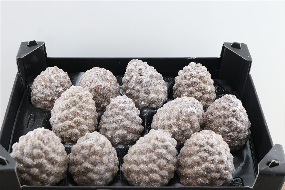 Wax-Pinea-Gl-Naturel-X12