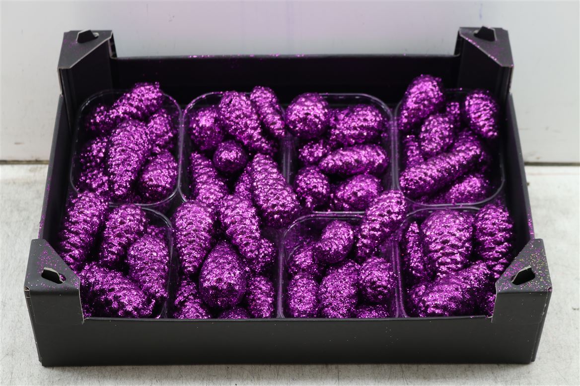 Wax-Pinea-Mini-Topline-Gl-Fuchsia