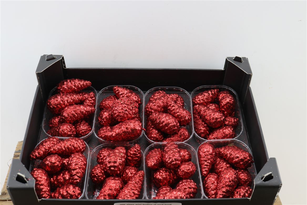Wax-Pinea-Mini-Topline-Gl-Rood-Kerst