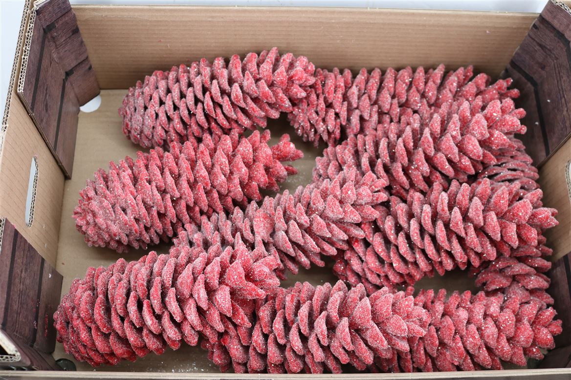 Wax-Sugar-Pine-Gl-Rood-Kerst