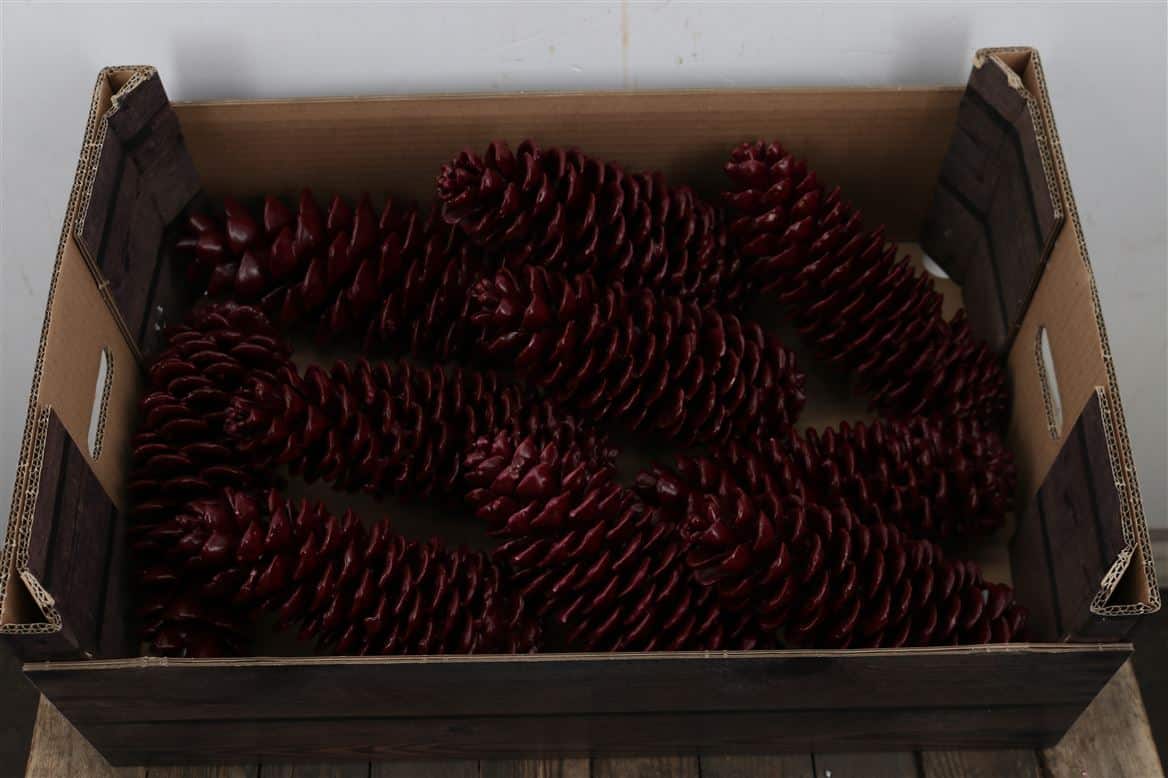Wax-Sugar-Pine-Rood-Wijn