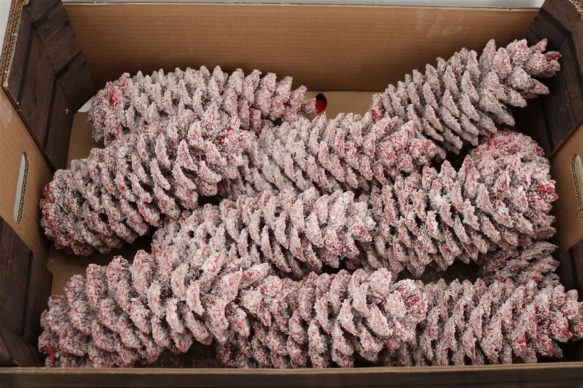 Wax-Sugar-Pine-Snow-Rood-Kerst