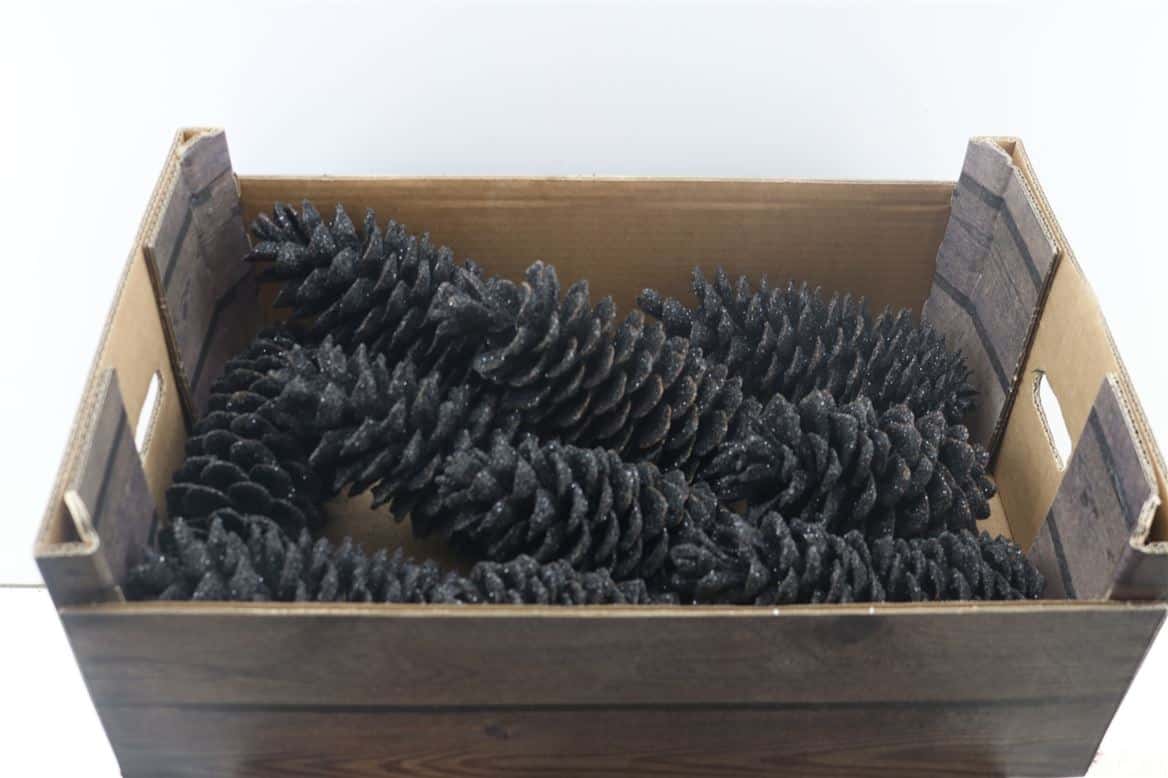 Wax-Sugar-Pine-Topline-Antraciet