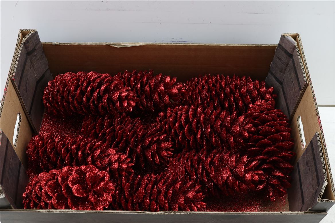 Wax-Sugar-Pine-Topline-Kerst-Rood