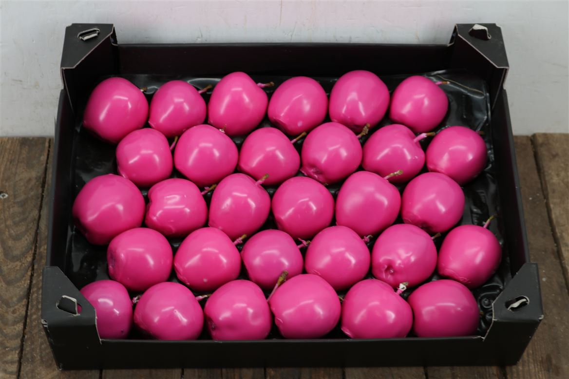 Waxappel-Fuchsia