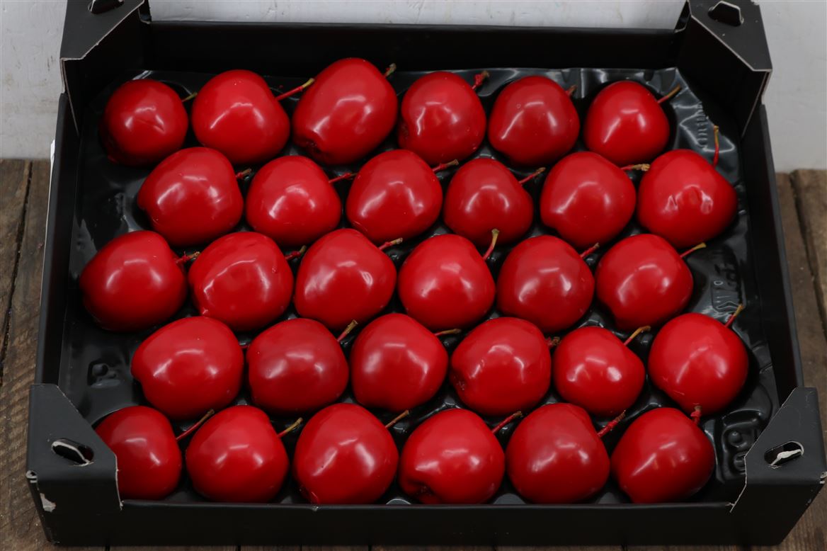 Waxappel-Rood-Kerst
