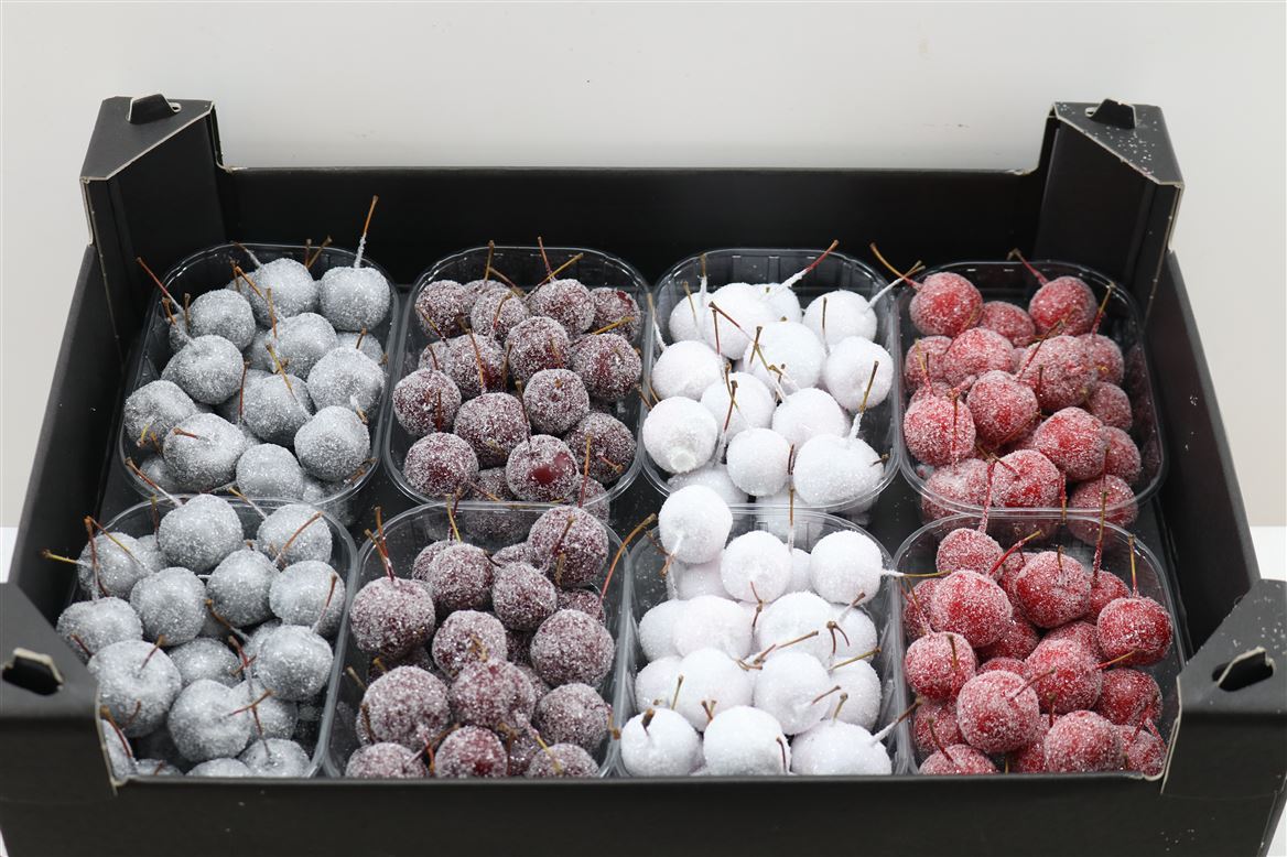 Waxmalus-Gl-Mix