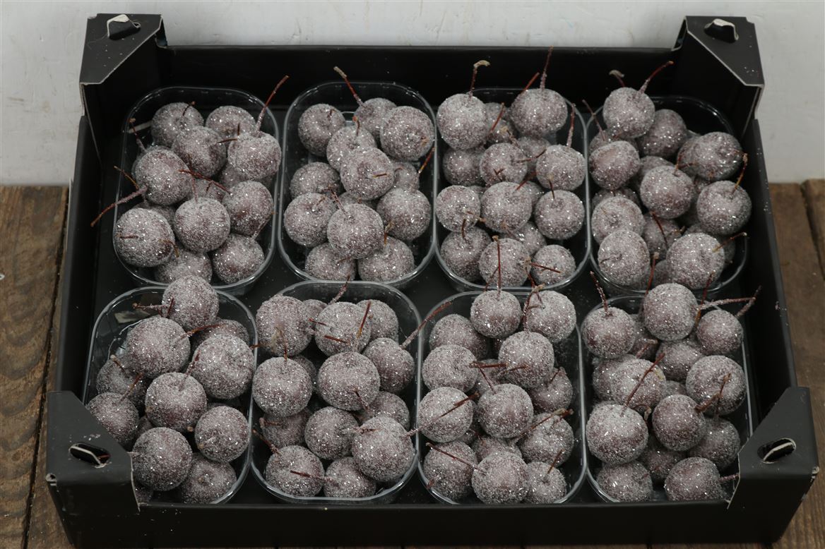 Waxmalus-Gl-Taupe