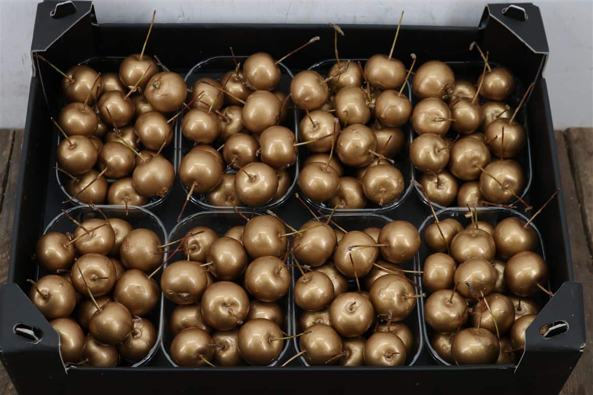 Waxmalus-Goud