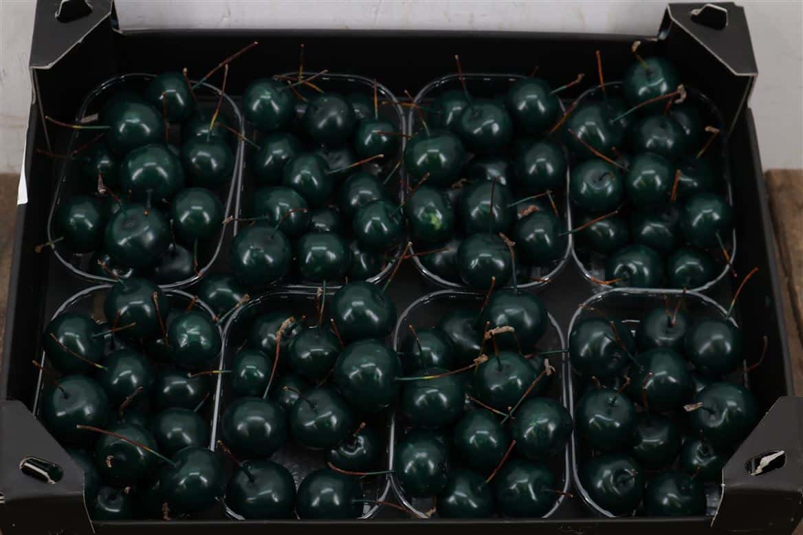 Waxmalus-Groen-Dennen