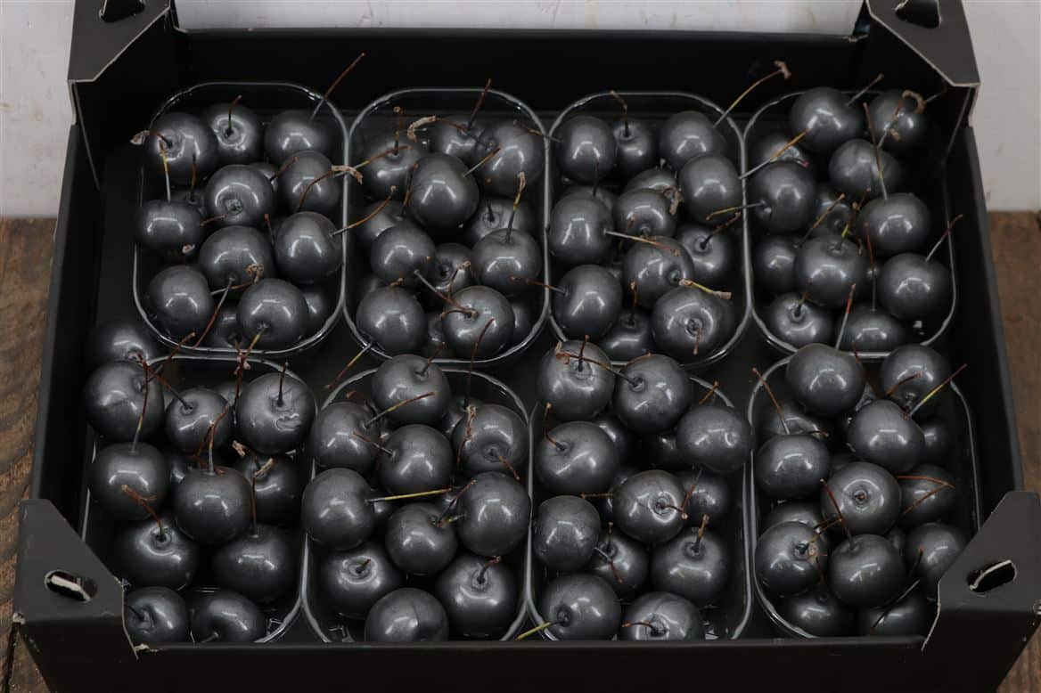 Waxmalus-Lood