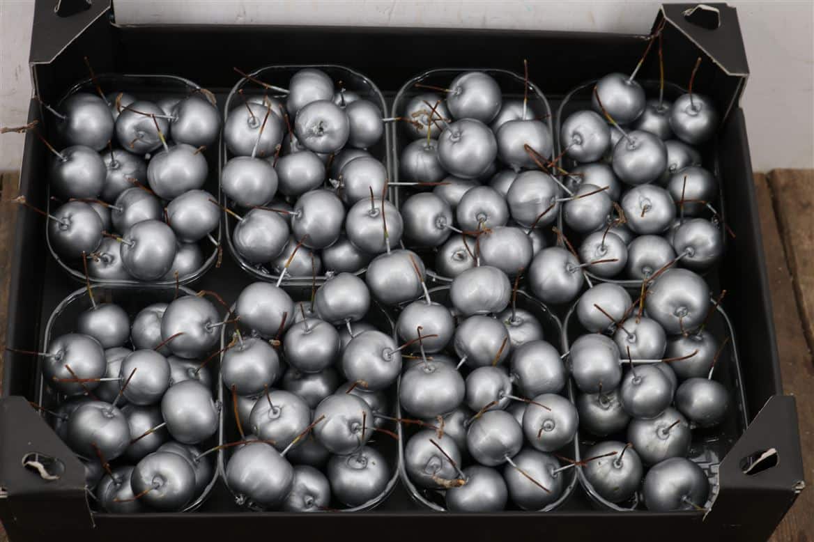 Waxmalus-Zilver