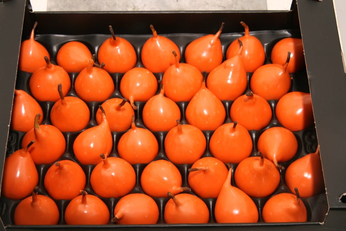 Waxpeer-Oranje