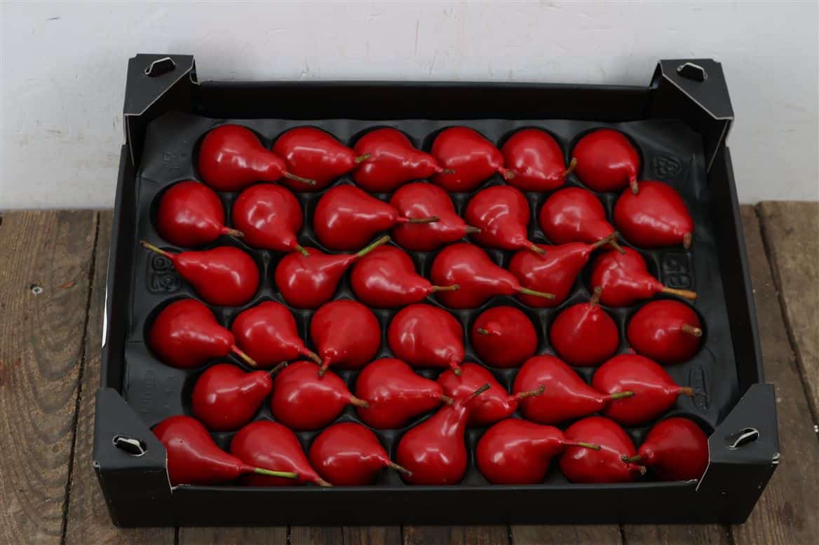 Waxpeer-Rood-Kerst