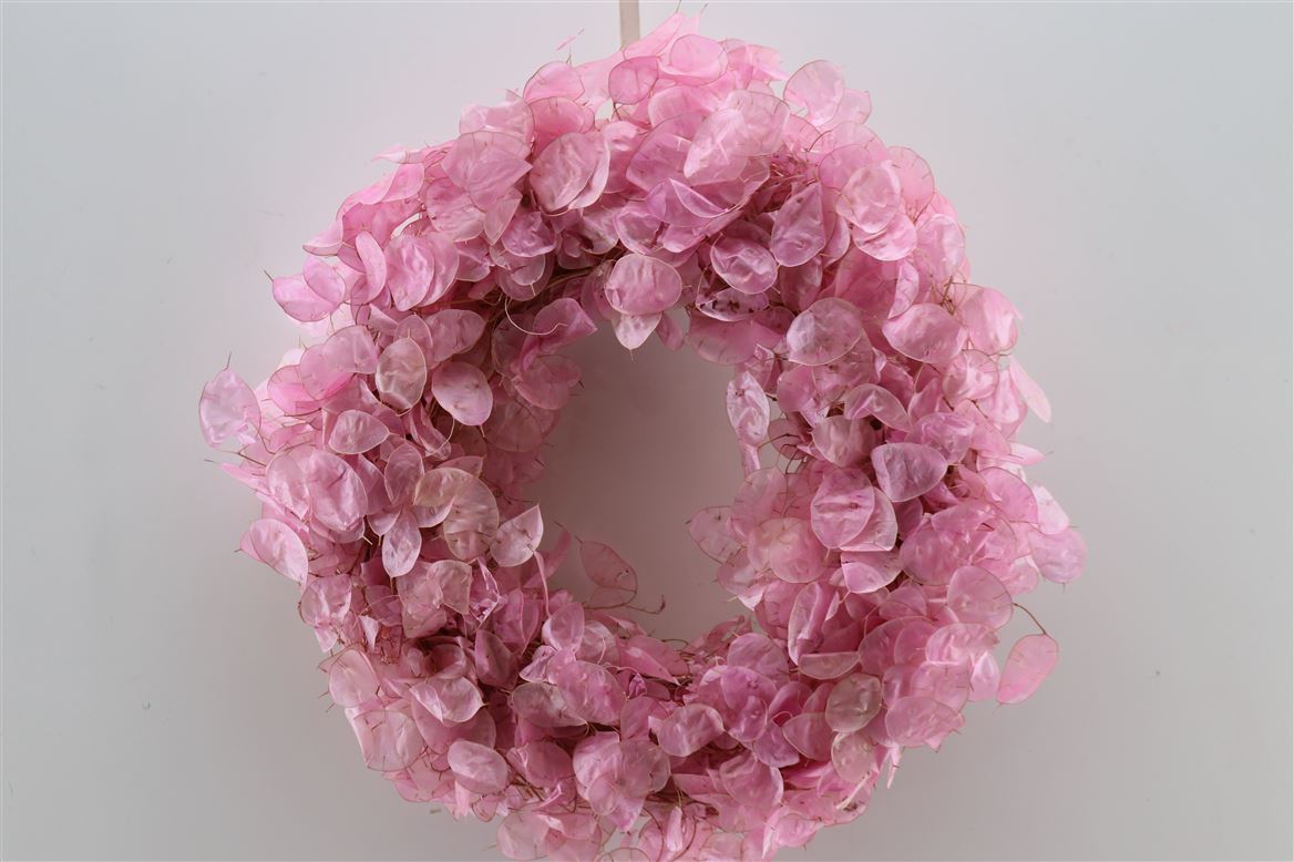 Wr-Dried-Lunaria-Light-Pink-40cm