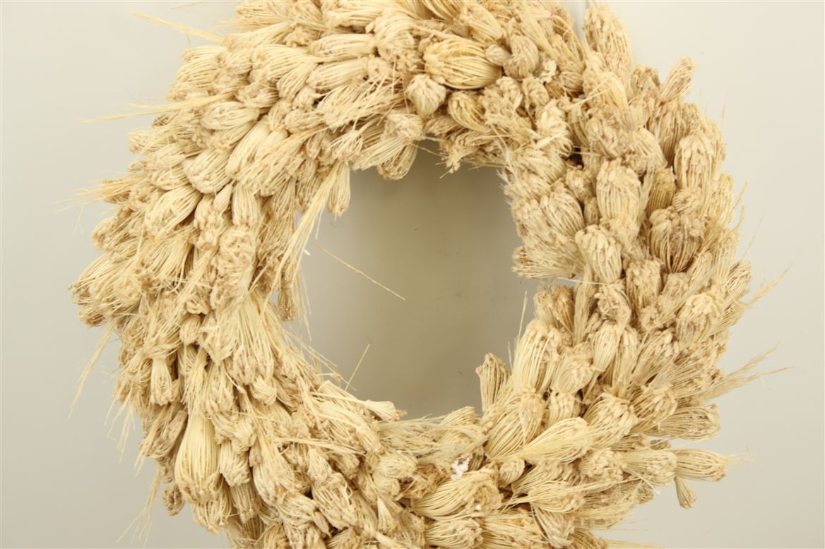 Wr-Dried-Plume-Thistle-Dill-45cm-Bleached