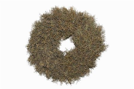 Wr-Iron-Bush-Naturel-60cm