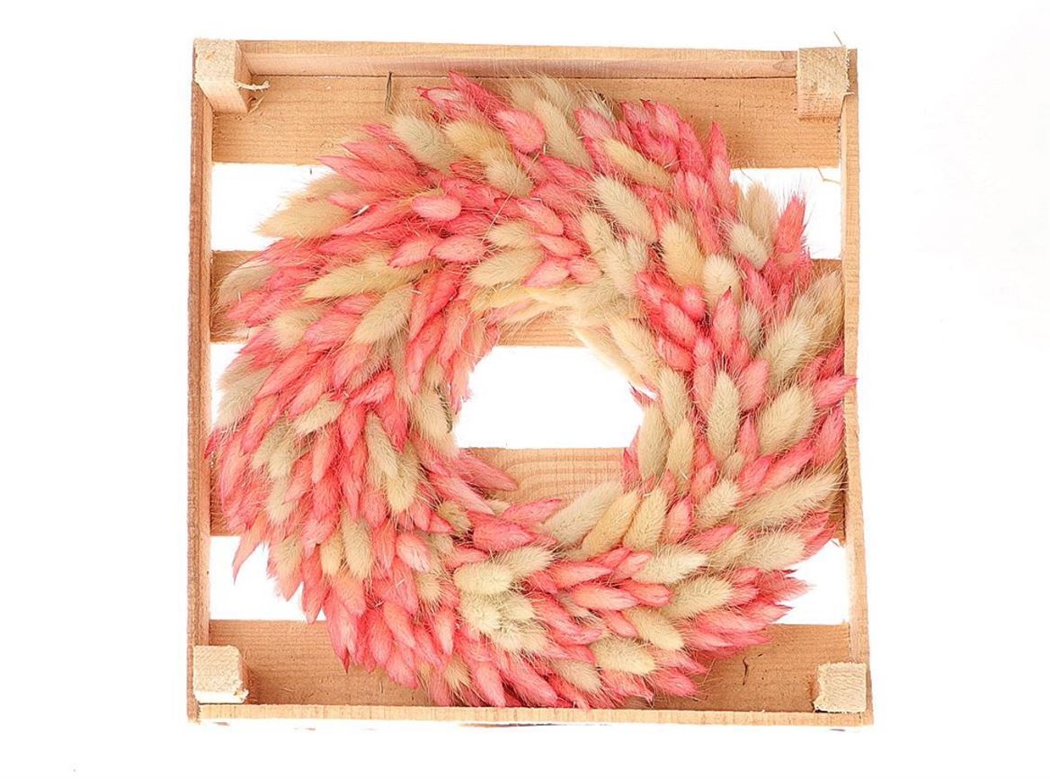Wr-Lagurus-D30-Pink-White