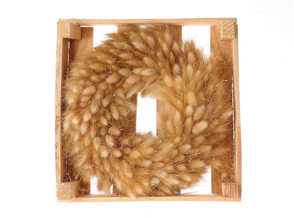 Wr-Lagurus-Naturel-D30