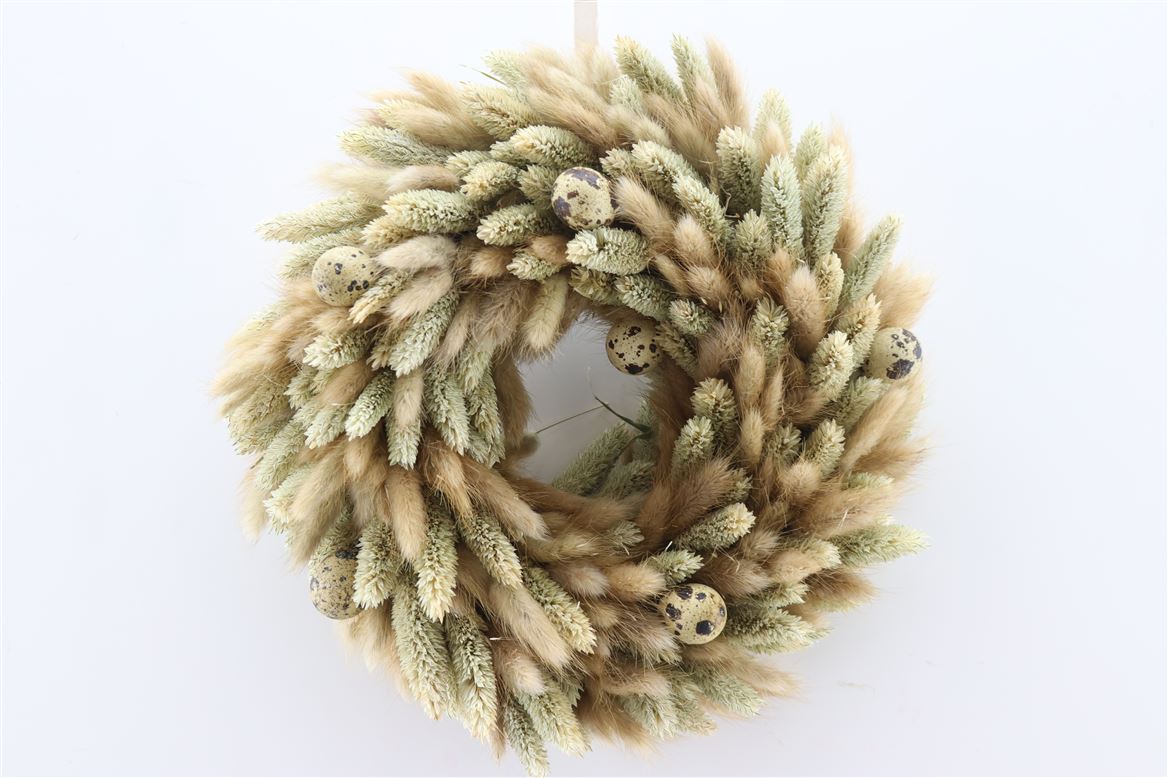 Wr-Lagurus-Phalaris-Eggs-Naturel-D30