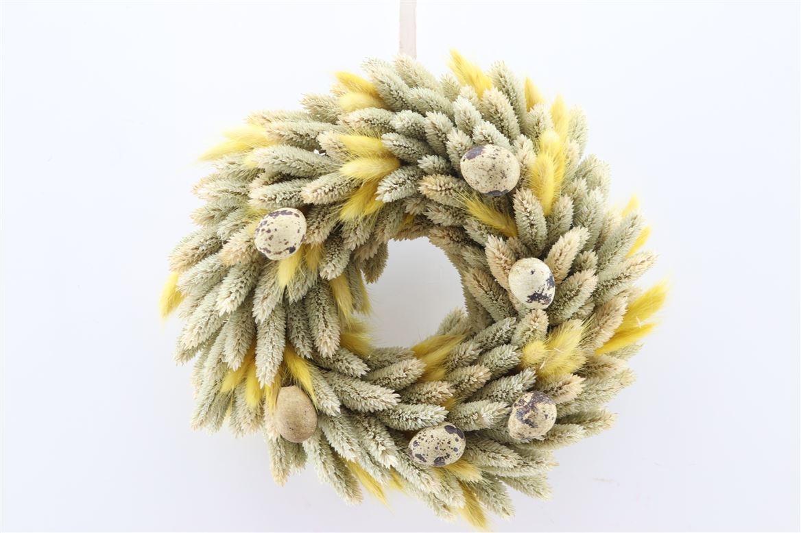 Wr-Lagurus-Phalaris-Eggs-Yellow-D30
