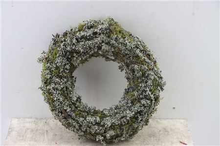 Wr-Larix-Moss-30cm-Natural