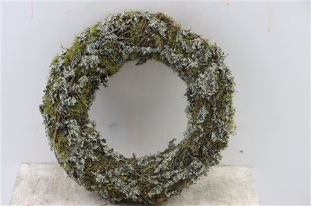 Wr-Larix-Moss-40cm-Natural