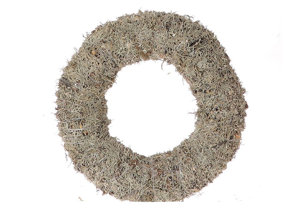 Wr-Lichen-Moss-25cm