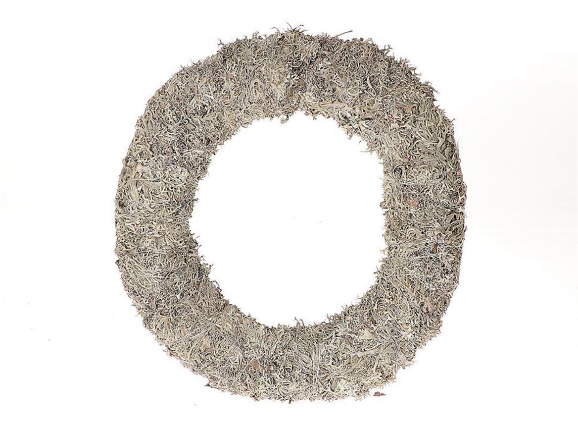 Wr-Lichen-Moss-40cm