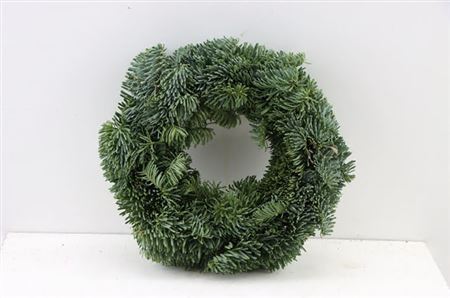 Wr-Nobilis-Half-25cm
