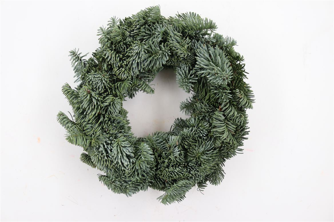 Wr-Nobilis-Half-30cm