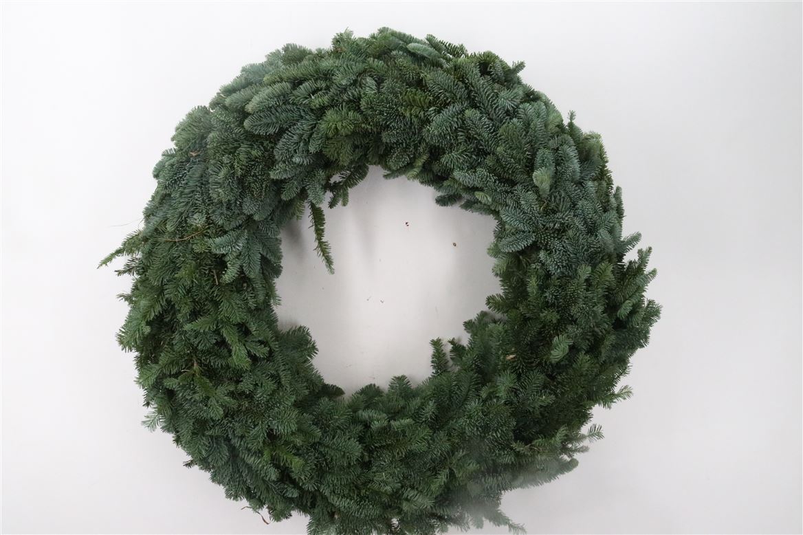 Wr-Nobilis-Half-80cm