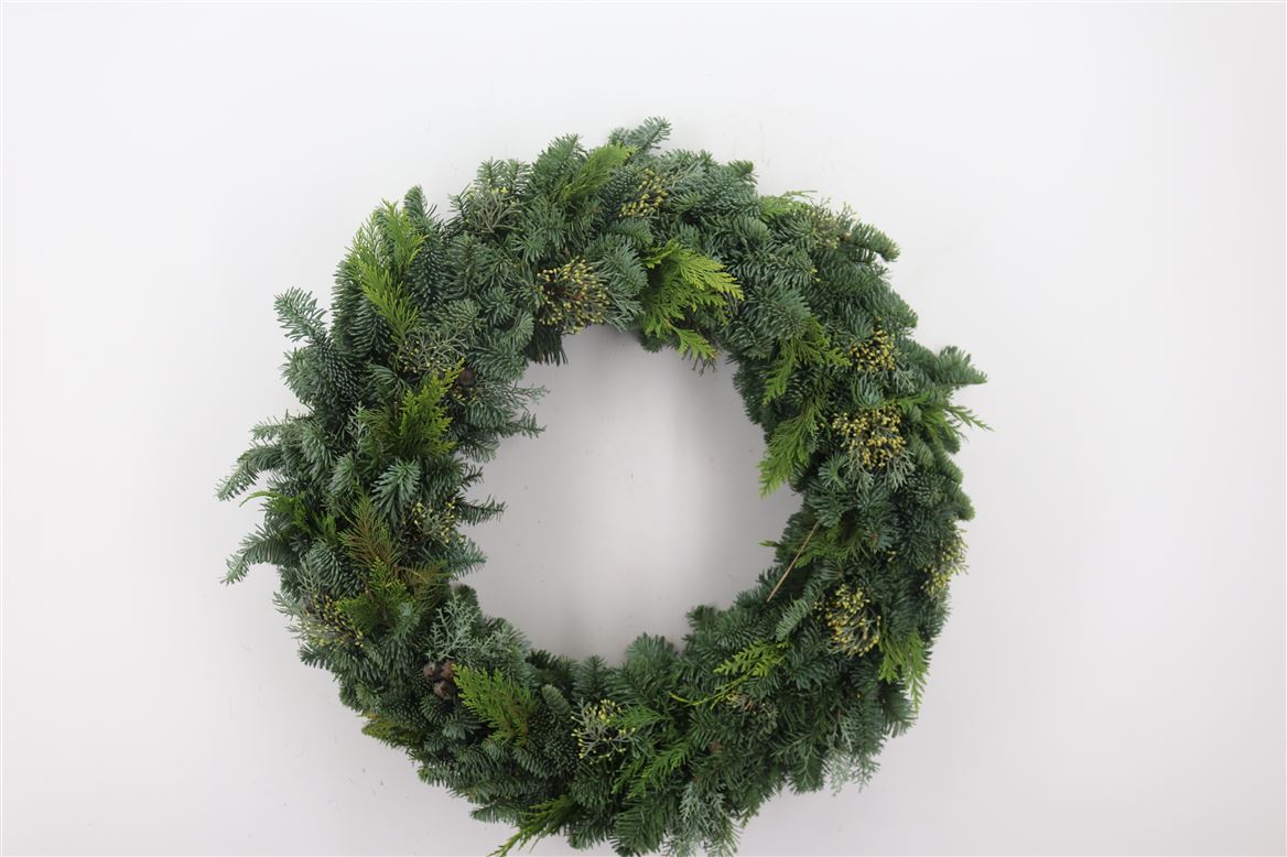 Wr-Nobilis-Mix-Half-60cm