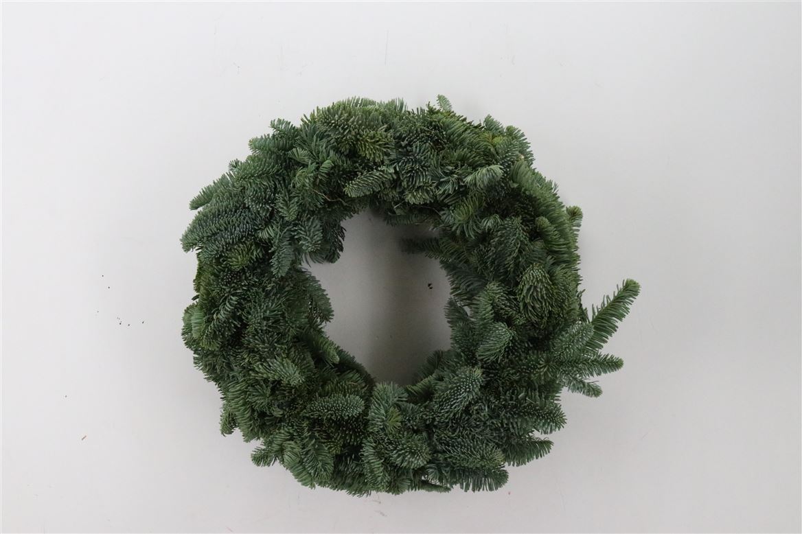 Wr-Nobilis-Round-50cm