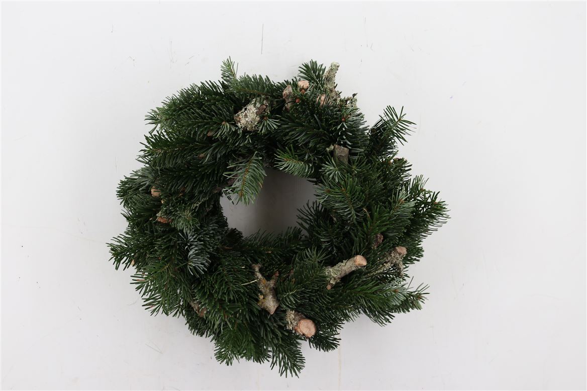 Wr-Nordmann-Larix-35cm-X5