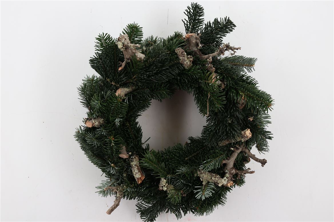 Wr-Nordmann-Larix-45cm-X3