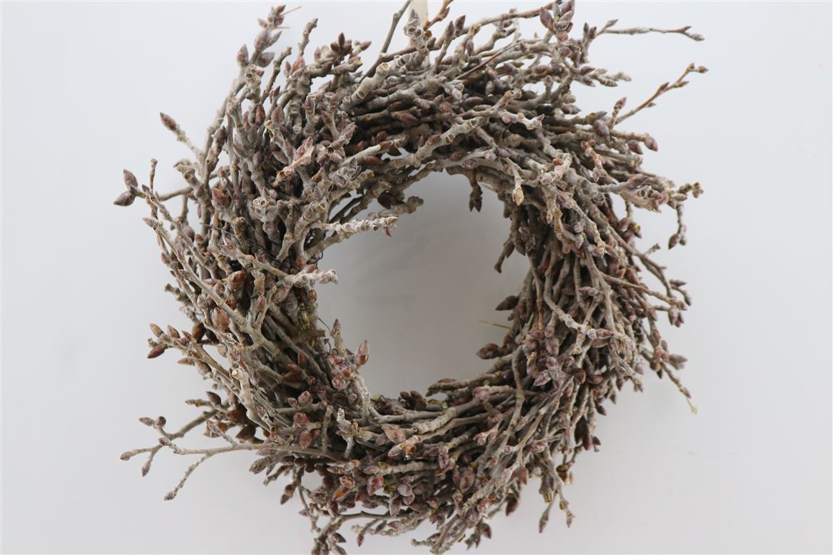 Wr-Peupelier-30cm-Naturel