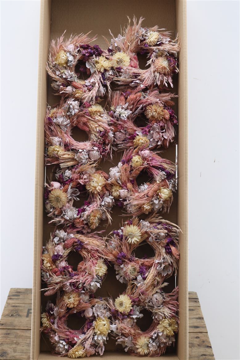 Wr-Pink-Dream-15cm