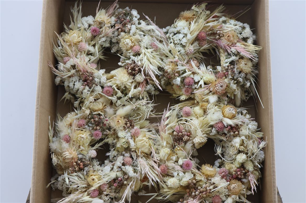 Wr-Pink-White-Dream-20cm