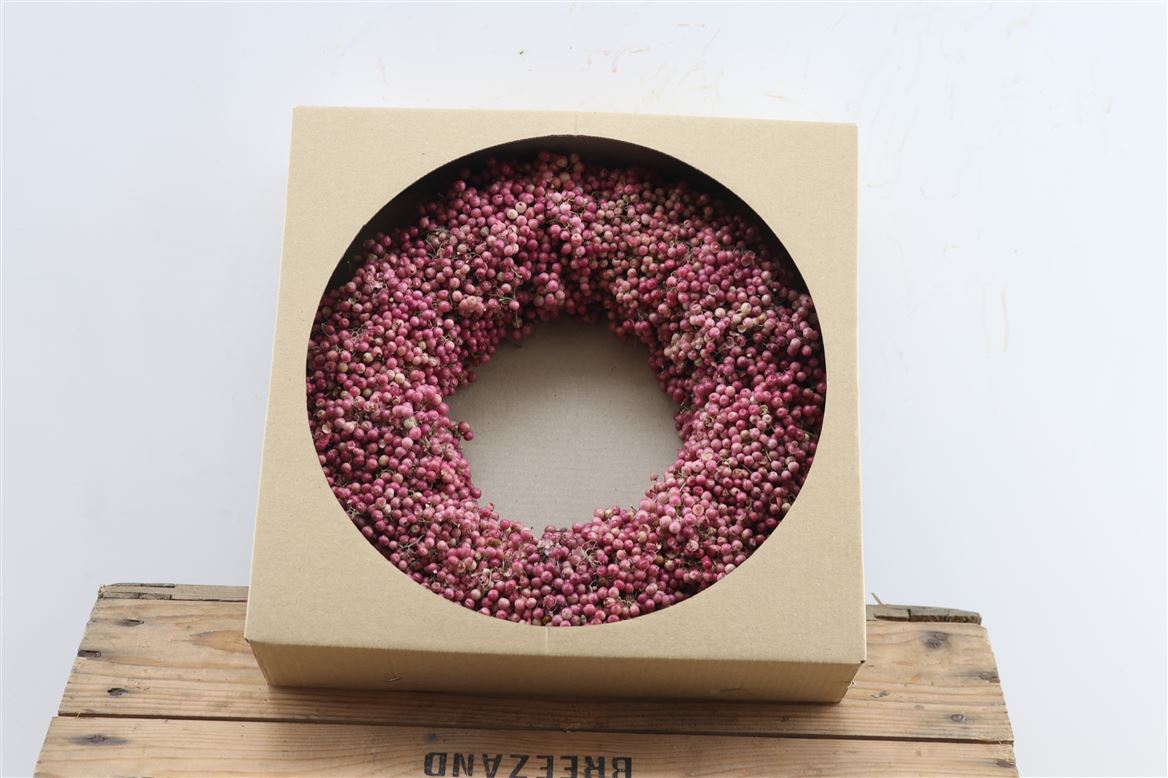 Wr-Schinus-Pepperberrie-30cm-X12