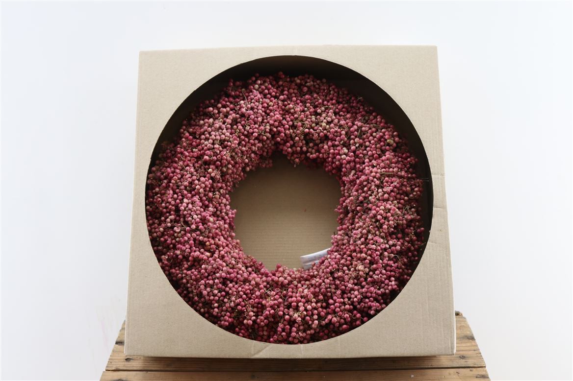 Wr-Schinus-Pepperberrie-40cm-X9